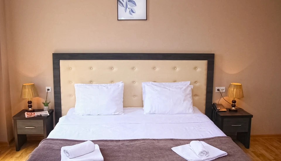 هتل روگالوکس تفلیس